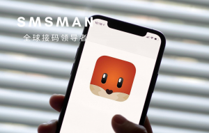 SMSMAN 2